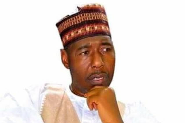 Borno Governor-elect Professor Umara