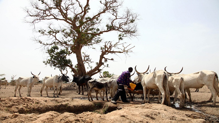 fulani herdsmen in nigeria